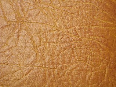 Hafif kahverengi cilt dokusunu tasarımcılar için