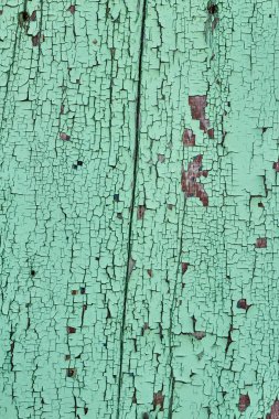 Eski bir Kurulu fotoğraf yeşil boyalı. Büyük arka plan