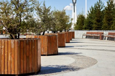 Yeşillik olmadan City Park, bitkiler tencerebüyümek.