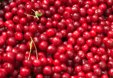 Arka plan, lezzetli kiraz dokusu.