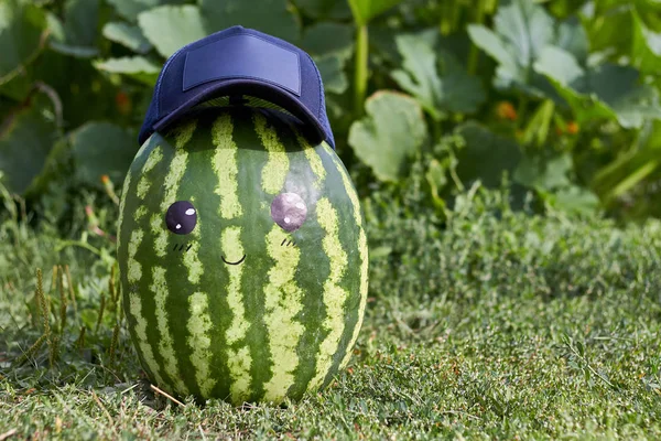 Watermelon Smile Hat Grass — Stock Photo, Image