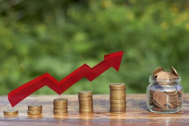 Artan madeni paralar, ekonomik büyüme fikri olarak kabul edilebilir..