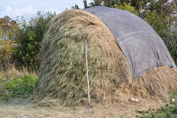 Photo haystack, animal feed, agriculture, straw — Stock Photo, Image