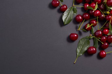 Siyah (koyu) arka planda olgun kırmızı kiraz. kopyalama alanı