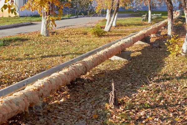 Foto tubo di riscaldamento è rotto, il freddo autunno — Foto Stock