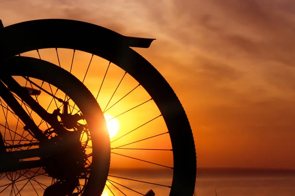 Två Hjul Gryningen Det Var Cykel Tur Stopp Resten Morgon — Stockfoto