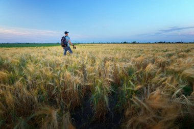 bir hikaye için arama çalışma / peyzaj adam sahada akşam ise fotoğrafçı