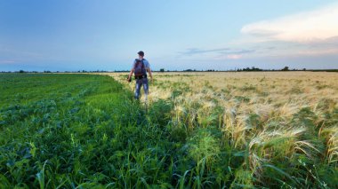 bir hikaye için arama çalışma / peyzaj adam sahada akşam ise fotoğrafçı