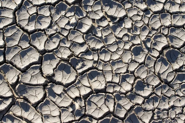 kuraklık yapar ilginç şeyler zemin / doku kırık toprak yakın çekim