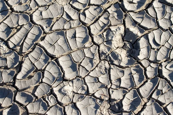 kuraklık yapar ilginç şeyler zemin / doku kırık toprak yakın çekim