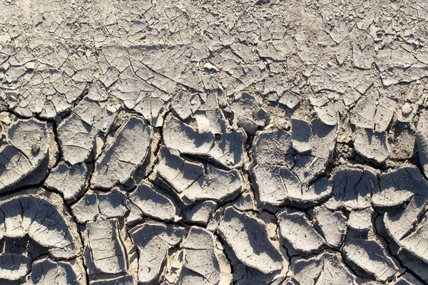 Trockenheit Macht Den Boden Interessant Beschaffenheit Der Rissigen Erde Aus — Stockfoto