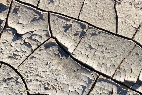 drought makes the ground interesting things / texture of cracked earth close-up