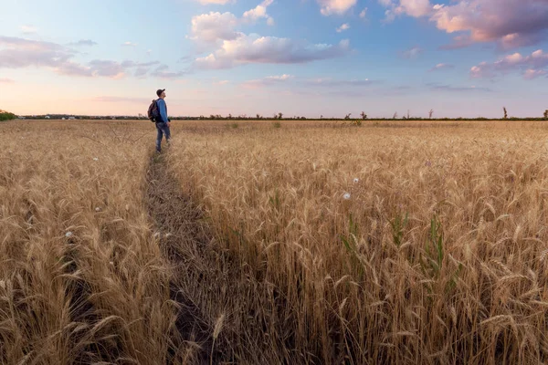 bir hikaye için arama çalışma / peyzaj adam sahada akşam ise fotoğrafçı