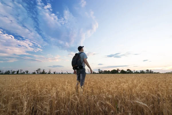 bir hikaye için arama çalışma / peyzaj adam sahada akşam ise fotoğrafçı
