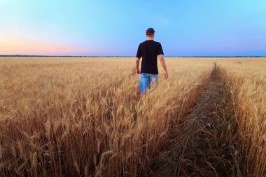 bir hikaye için arama çalışma / peyzaj adam sahada akşam ise fotoğrafçı