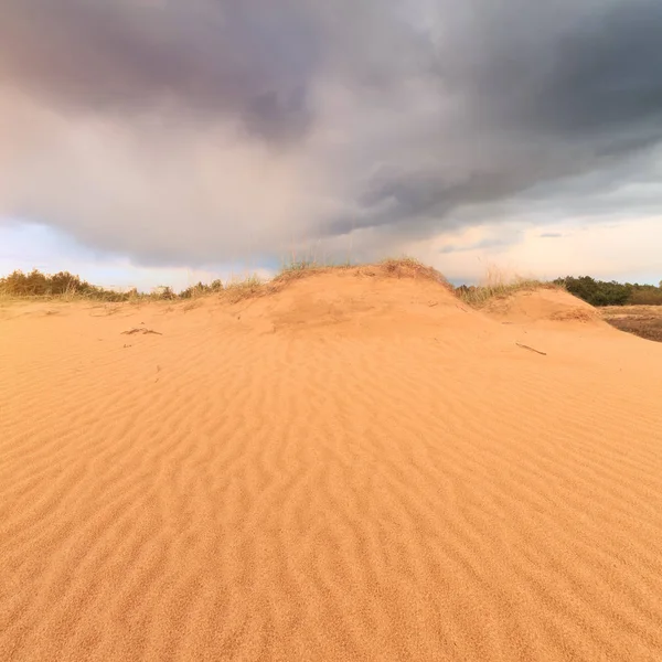 Sand Dunes Woods Storm Clouds Sunset — Stock Photo, Image