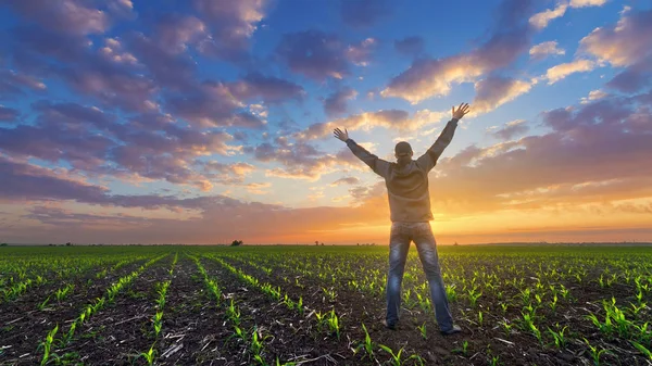 bir adam şafak toplantı / sevinç kırsal güneş ışığı şafağın