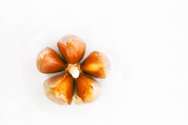 sarımsak demonte bir devlet / / ilginç form ve sıradışı tadı