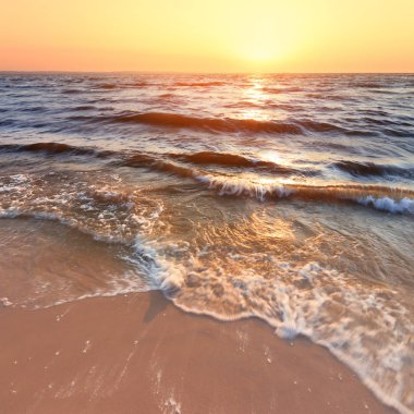 siyah şafak-savage plaj yalnız deniz erken güz