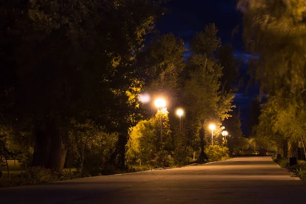 Callejón Nocturno Del Viejo Parque Fuera Ciudad Fuerte Viento Paseo —  Fotos de Stock