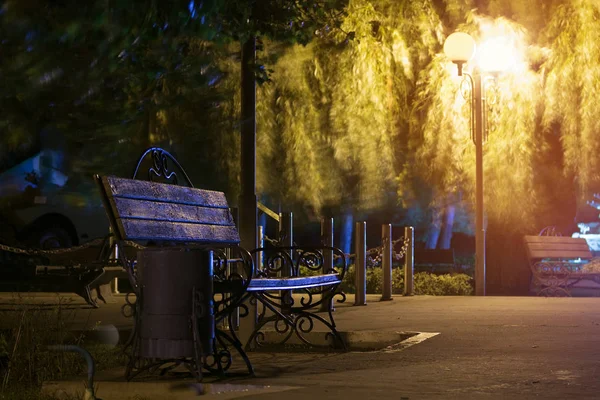 Callejón Nocturno Del Viejo Parque Fuera Ciudad Fuerte Viento Paseo — Foto de Stock
