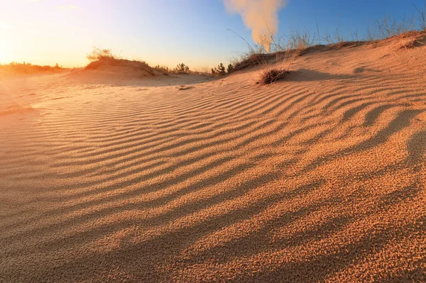 sunset in the desert / sand dune bright sunset colorful sky