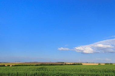Tarım uzakta--dan görünüm / alanları Ukrayna güzel yazın güneşli bir gün