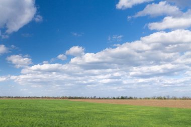 bulutlar üzerinde alan / parlak Foto Ukrayna yaz