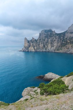 Yeni ışık Golitsyn / parlak yaz Crimea fotoğraflar