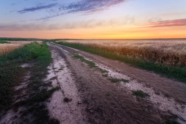 Stezka Hřišti Během Západu Slunce Západ Slunce Večer Krajinu Oblasti — Stock fotografie