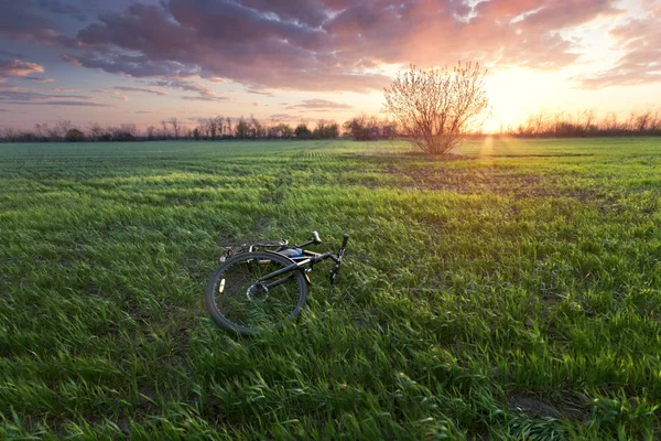 Atardecer Tiempo Paisaje Campos Ucrania Bicicleta Acostado Campo Paisaje —  Fotos de Stock