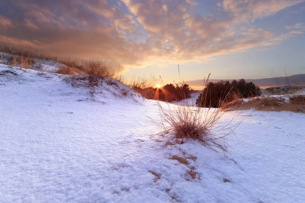 Zimní Krajina Sněhem Pokrytých Písečných Dun Světlé Zimní Slunce Uprostřed — Stock fotografie