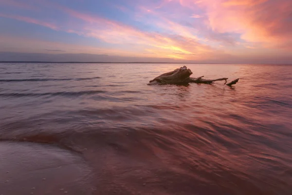 Baumstamm Liegt Ufer Eines Verlassenen Strandes Trübes Wasser Morgendämmerung — Stockfoto