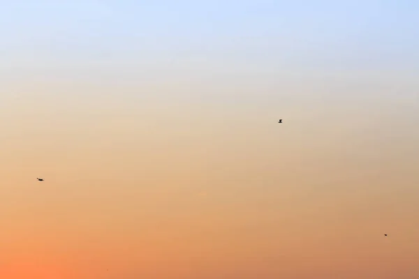 Leuchtende Farben Des Abendhimmels Die Natur Freut Sich Immer Über — Stockfoto