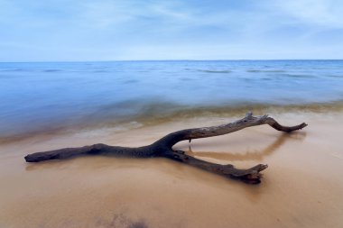 kumlu sahilde oturum / kırsal vahşi manzara yeri