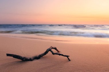 terk edilmiş bir plaj kıyısında yalan günlüğü 
