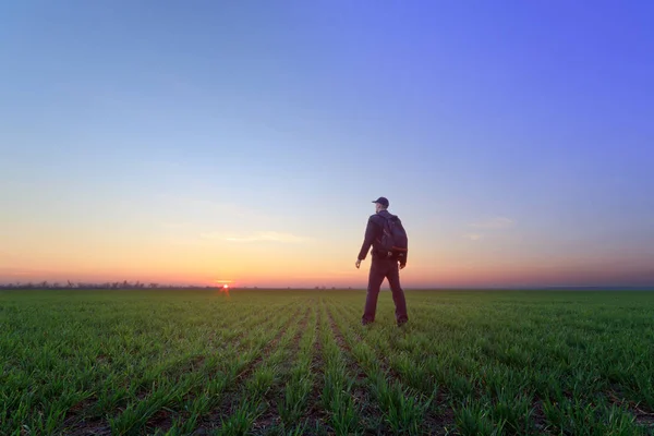 Pessoas campo de trigo por do sol — Fotografia de Stock