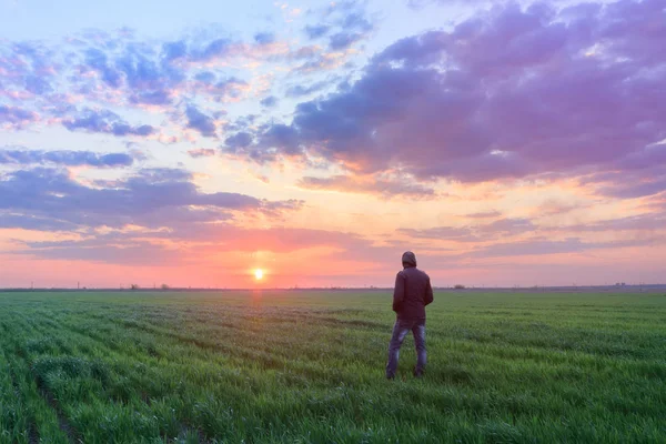 Люди пшеничне поле захід сонця — стокове фото