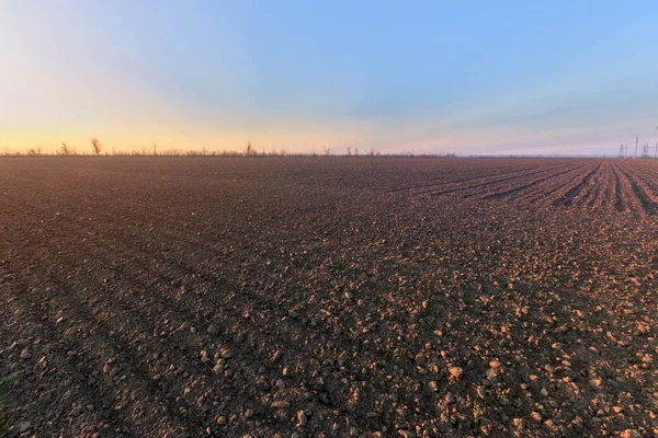 Terres sur le terrain pour la plantation — Photo