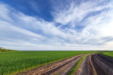 yeşil alan etrafında toprak yol 