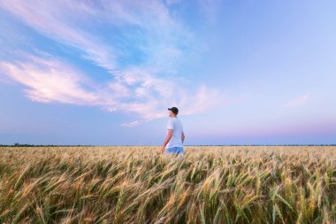 buğday tarlasında duran adam