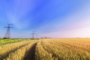 güç hattı parlak yaz günü 