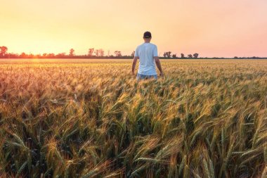bir hikaye için arama çalışırken fotoğrafçı 