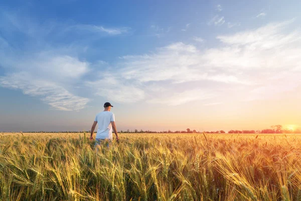 bir hikaye için arama çalışırken fotoğrafçı