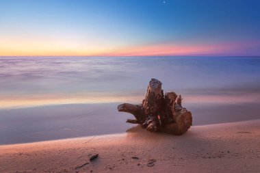 terk edilmiş bir plaj kıyısında yalan günlüğü 