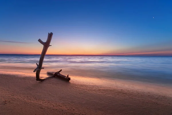 Baumstamm liegt am Ufer eines verlassenen Strandes — Stockfoto