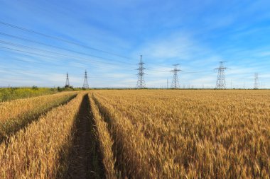 güç hattı parlak yaz günü