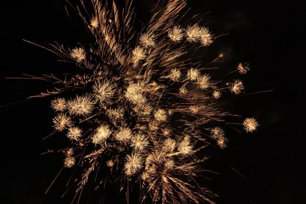 夜空に対する明るい花火 — ストック写真