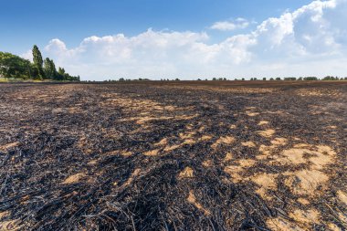 yangından sonra alan 