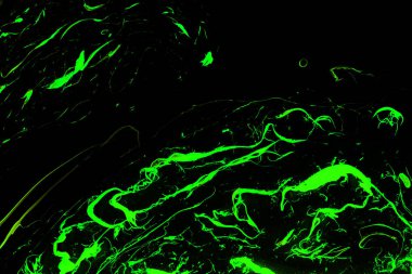 su üzerinde boya desenleri 